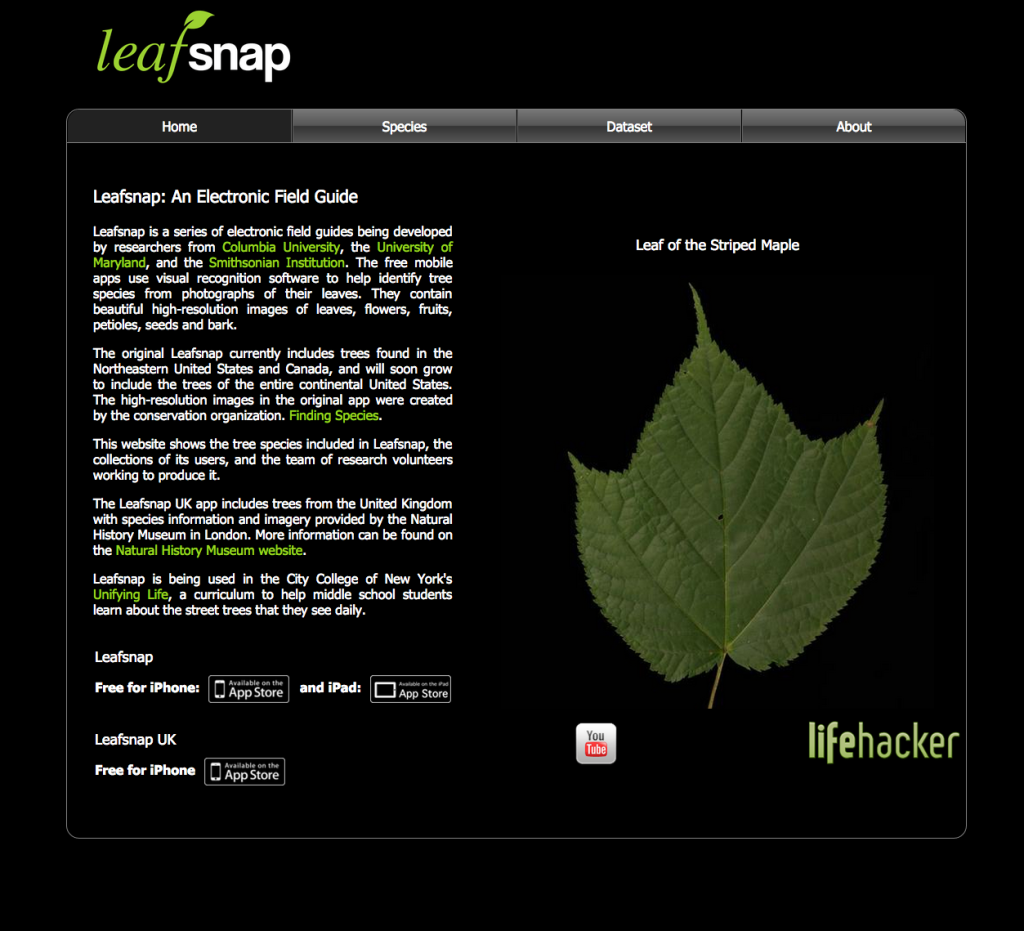 33 Outdoor Apps to Get Kids into Nature Leafsnap